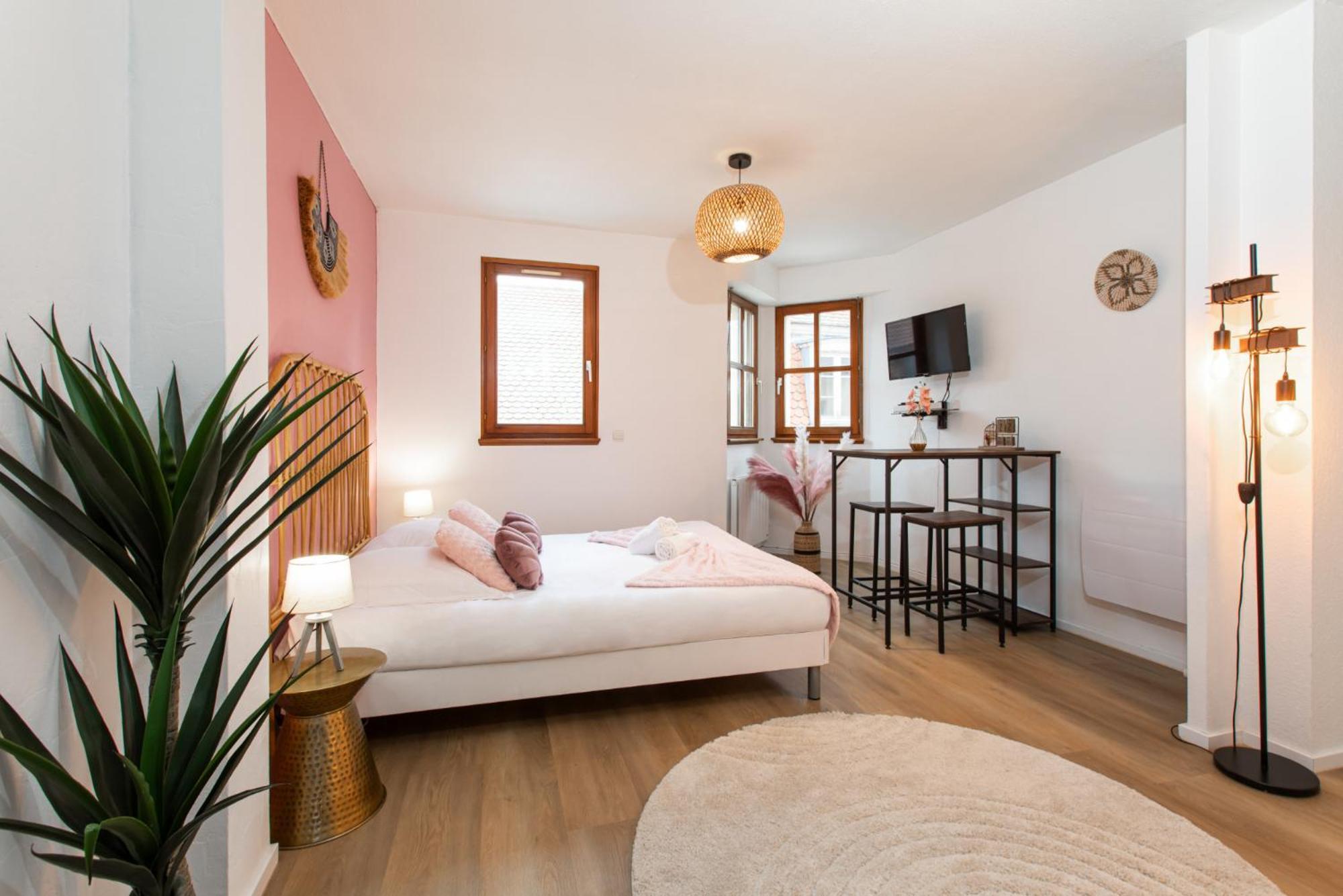 Nouveau - Le Discovery - Petite Venise Colmar Quarto foto
